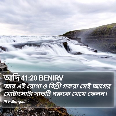 আদি 41:20 BENIRV Bible Verse Image