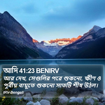 আদি 41:23 BENIRV Bible Verse Image