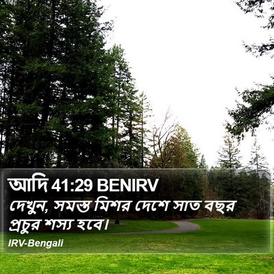 আদি 41:29 BENIRV Bible Verse Image