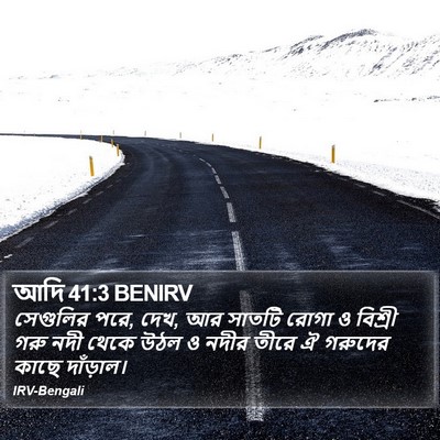 আদি 41:3 BENIRV Bible Verse Image