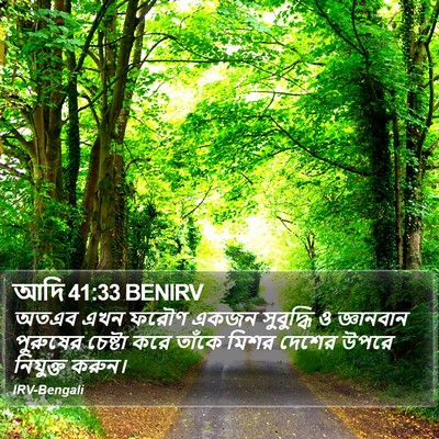 আদি 41:33 BENIRV Bible Verse Image