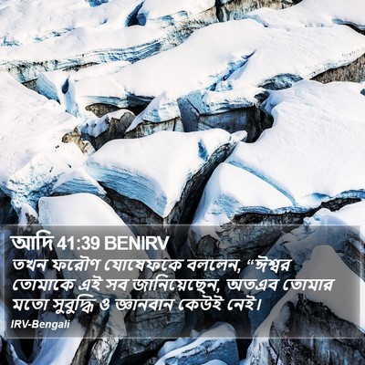 আদি 41:39 BENIRV Bible Verse Image
