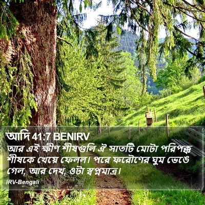 আদি 41:7 BENIRV Bible Verse Image