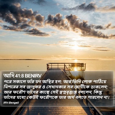 আদি 41:8 BENIRV Bible Verse Image