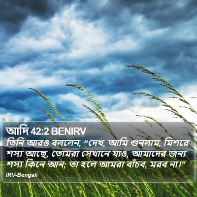 আদি 42:2 BENIRV Bible Verse Image