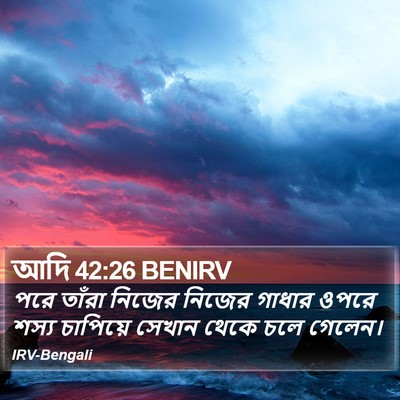 আদি 42:26 BENIRV Bible Verse Image