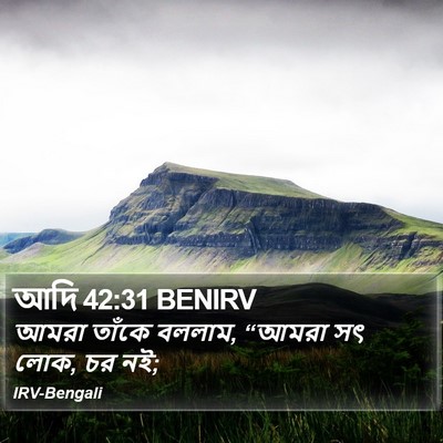 আদি 42:31 BENIRV Bible Verse Image