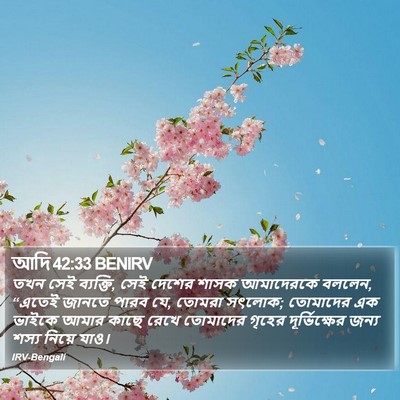 আদি 42:33 BENIRV Bible Verse Image