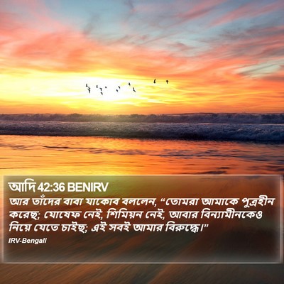আদি 42:36 BENIRV Bible Verse Image
