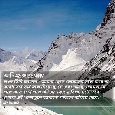 আদি 42:38 BENIRV Bible Verse Image