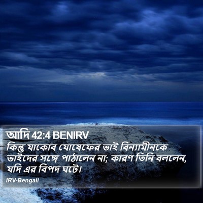 আদি 42:4 BENIRV Bible Verse Image