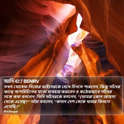 আদি 42:7 BENIRV Bible Verse Image