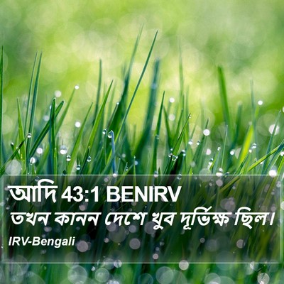 আদি 43:1 BENIRV Bible Verse Image