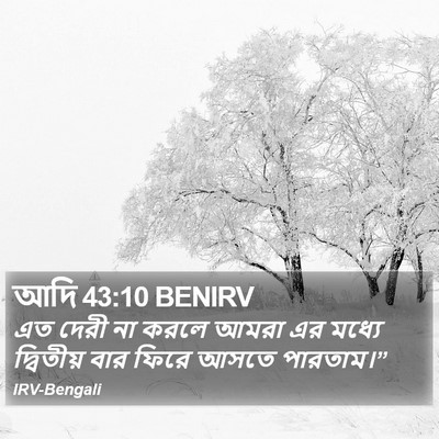 আদি 43:10 BENIRV Bible Verse Image