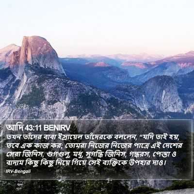 আদি 43:11 BENIRV Bible Verse Image