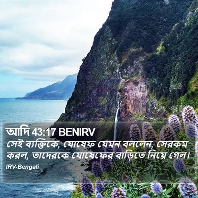 আদি 43:17 BENIRV Bible Verse Image