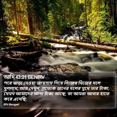 আদি 43:21 BENIRV Bible Verse Image