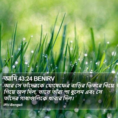 আদি 43:24 BENIRV Bible Verse Image