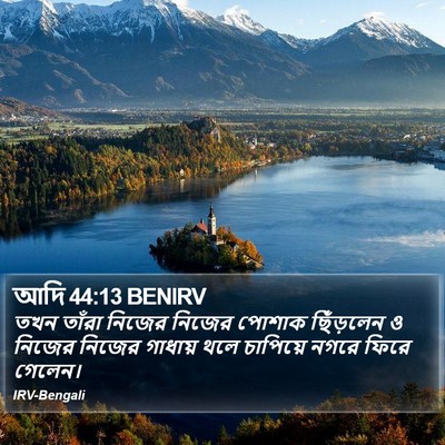 আদি 44:13 BENIRV Bible Verse Image
