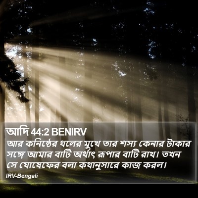 আদি 44:2 BENIRV Bible Verse Image