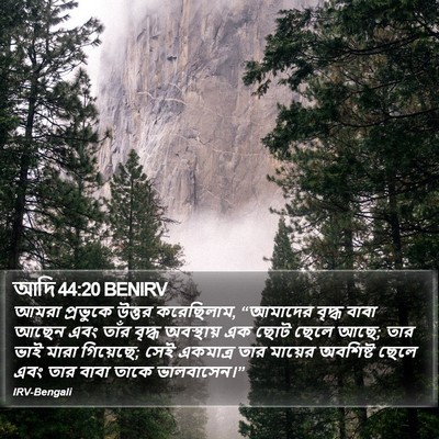 আদি 44:20 BENIRV Bible Verse Image