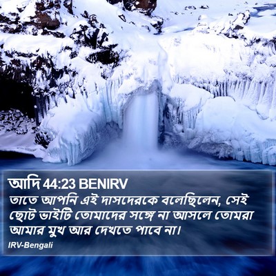 আদি 44:23 BENIRV Bible Verse Image