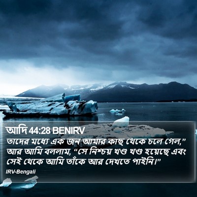 আদি 44:28 BENIRV Bible Verse Image