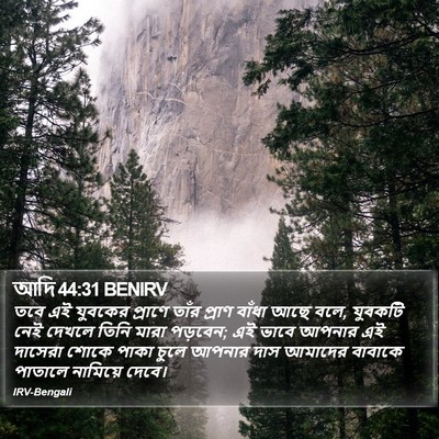 আদি 44:31 BENIRV Bible Verse Image