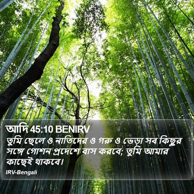 আদি 45:10 BENIRV Bible Verse Image
