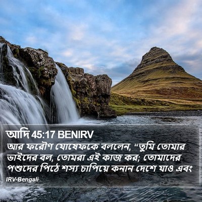 আদি 45:17 BENIRV Bible Verse Image