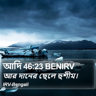 আদি 46:23 BENIRV Bible Verse Image