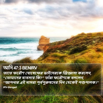 আদি 47:3 BENIRV Bible Verse Image