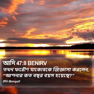 আদি 47:8 BENIRV Bible Verse Image