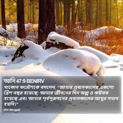 আদি 47:9 BENIRV Bible Verse Image