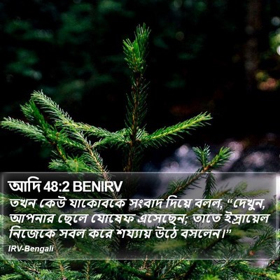 আদি 48:2 BENIRV Bible Verse Image