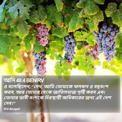 আদি 48:4 BENIRV Bible Verse Image