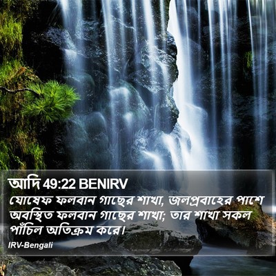 আদি 49:22 BENIRV Bible Verse Image