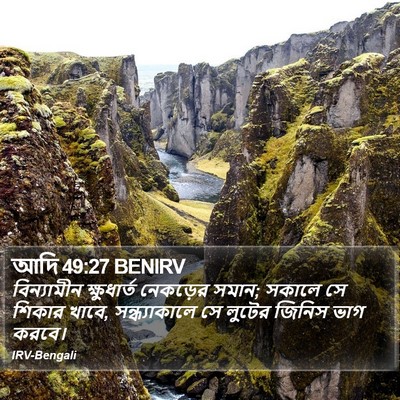 আদি 49:27 BENIRV Bible Verse Image