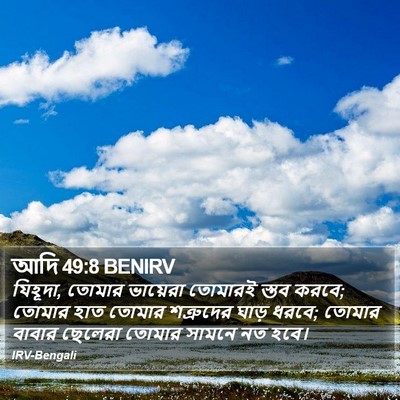 আদি 49:8 BENIRV Bible Verse Image