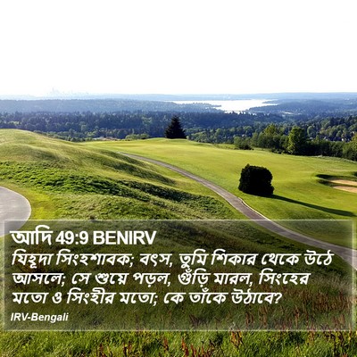 আদি 49:9 BENIRV Bible Verse Image