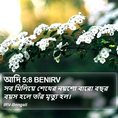আদি 5:8 BENIRV Bible Verse Image