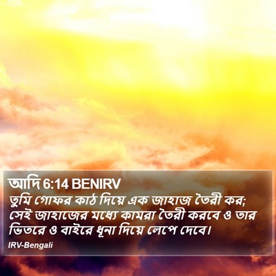 আদি 6:14 BENIRV Bible Verse Image