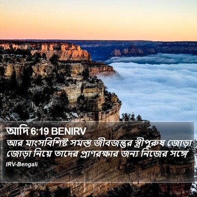 আদি 6:19 BENIRV Bible Verse Image