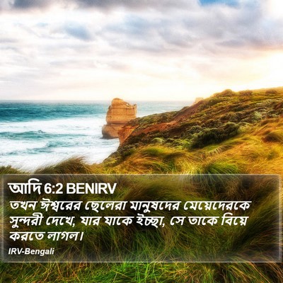 আদি 6:2 BENIRV Bible Verse Image