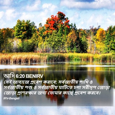 আদি 6:20 BENIRV Bible Verse Image