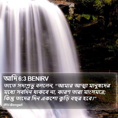 আদি 6:3 BENIRV Bible Verse Image