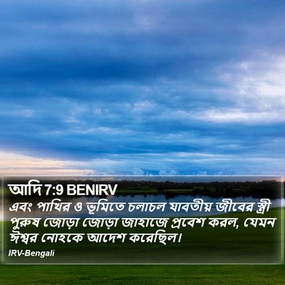 আদি 7:9 BENIRV Bible Verse Image
