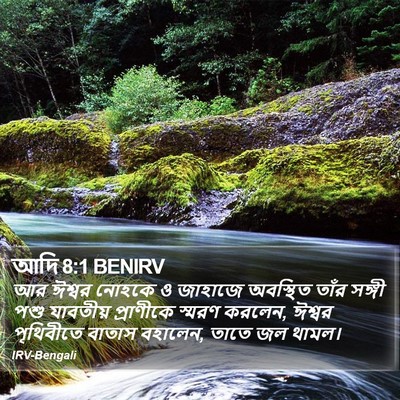 আদি 8:1 BENIRV Bible Verse Image
