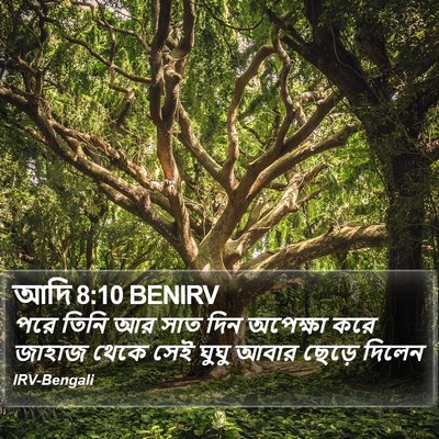 আদি 8:10 BENIRV Bible Verse Image