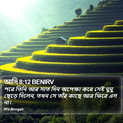 আদি 8:12 BENIRV Bible Verse Image